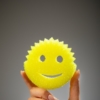 Gveiga x Scrub Daddy - Image 3